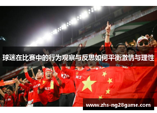 球迷在比赛中的行为观察与反思如何平衡激情与理性