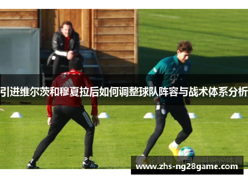 引进维尔茨和穆夏拉后如何调整球队阵容与战术体系分析