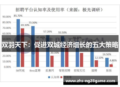 双羽天下：促进双城经济增长的五大策略