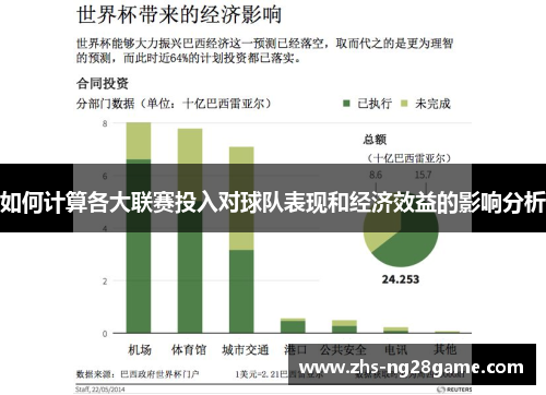 如何计算各大联赛投入对球队表现和经济效益的影响分析
