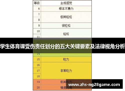 学生体育课受伤责任划分的五大关键要素及法律视角分析