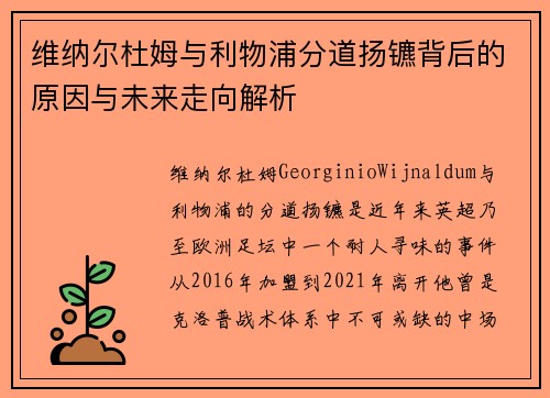 维纳尔杜姆与利物浦分道扬镳背后的原因与未来走向解析