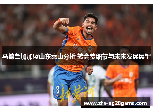 马德鲁加加盟山东泰山分析 转会费细节与未来发展展望